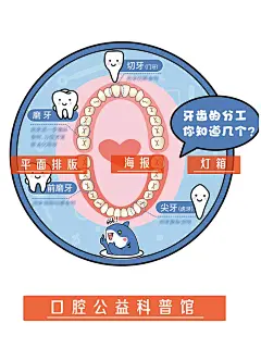 口腔健康视觉化指南 - 小红书