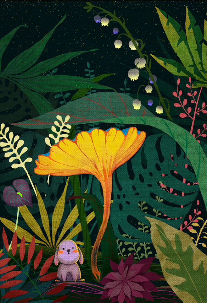 植物 插画