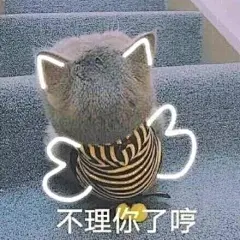 猫咪表情包合集｜你都没有胸，凶什么凶_宠物频道_东方资讯