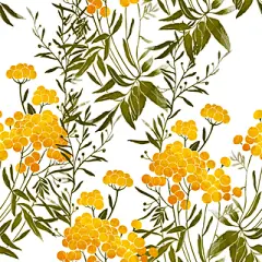 位图 jpg 生命 花卉 满身图案 写意花卉 写实花卉 唯美