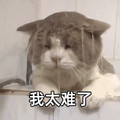 【表情包】我太难了-花瓣网