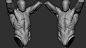 1 - Anatomy Study