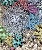Paper Sculptures in the Forms of Coral and Bacteria