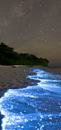 马尔代夫的Vaadhoo岛边海滩有一片被称为“蓝眼泪”的蓝沙，蓝眼泪是一种海洋微生物，靠着海水的某种能量生存，随着海浪的翻涌被冲到岸上或空中，化作星河般扑面而来的点点荧光...
