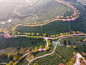 Aerial view of the tea garden in the tea mountain and the cherry blossom trees in the tea garden Aerial View Stock Photo