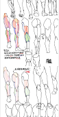 #描き方 躯干 - wumingxuan520的插画