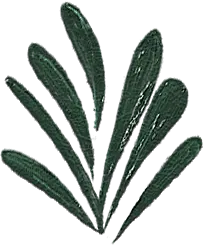 春季花系列唯美手机壁纸_设计页－稿定设计