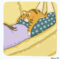 猫咪迷惑行为大赏！这40个猫咪的爆笑瞬间，每一张都是表情包哈哈哈哈 (39)