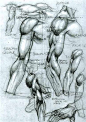 how to draw / http://simonebianchi.com/immagini/anatomy35_full.jpg?image_id=198 …