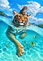 A small swim for a tiger : But a big adventure for a little stray tabby!