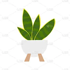 蛇种盆栽植物。平坦的手绘植物桑塞维埃里亚现代办公室或家庭装饰插图。
