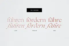 英伦复古经典优雅杂志海报排版Logo标题设计衬线英文字体安装包