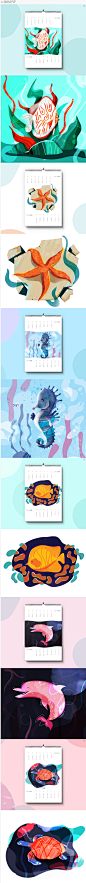 海洋类动物插画日历海星  海马  海豚  鱼类
设计师be：https://www.behance.net/magdalenakozlicka
