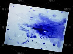 蓝色墨迹纸的白纸孤立黑色背景