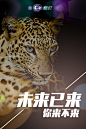 煽动