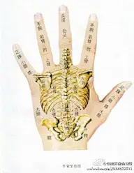 健身/保健/减肥（一）