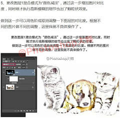 我的喵喵猫采集到PS技巧