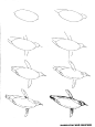 50种海洋动物画法-15