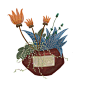 儿插植物_天鹅兔__插画师作品_涂鸦王国gracg.com