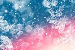 冰雪覆盖的树木。圣诞快乐，恭贺新禧。