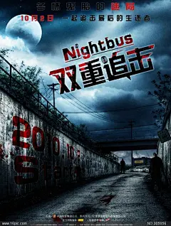 双重追击 高清原版电影海报图片