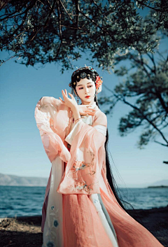 招财三花儿喵采集到戏