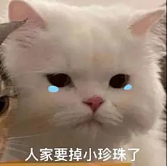 最近存的一些表情包 ... - @表情包的微博 - 微博
