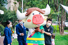 即将秃头的策划菜鸟采集到宠物主题