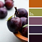 Color combination, color pallets, color palettes, color scheme, color inspiration. Color combination, color pallets, color palettes, color scheme, color inspiration.