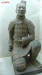 兵马俑图片素材