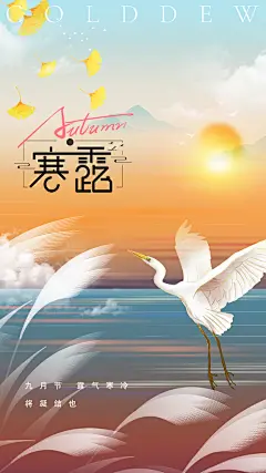 品质寒露节气宣传海报