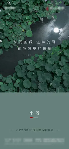 小暑-源文件-素材国度dc10000.com