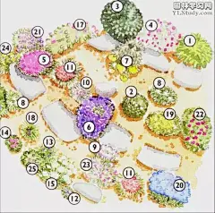 超有气质的花镜手绘平面及效果图，棒棒哒！