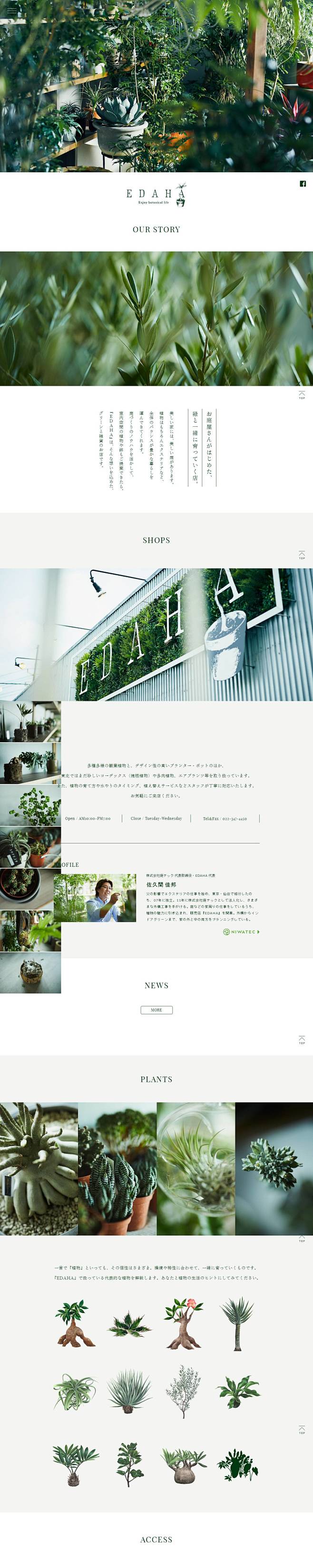 爱果果-EDAHA