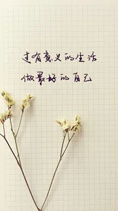 小清新心灵鸡汤个性手机壁纸图片大全