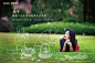 F2E996019A6CD18E42D1E5AD0B40DE1F