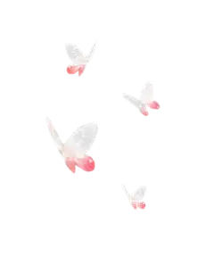 ♡古风免扣素材♡蝴蝶