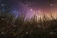 夜景的灌木丛在农村的背景和银河完全可见的背景。