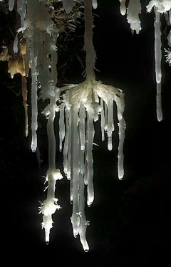 喵了个咪的昵称竟然已经存在了采集到A场景—冰雪