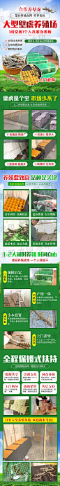 壁虎养殖（百度）水印