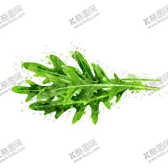手绘彩色蔬菜免扣素材图片 【酷图网】青菜插画,蔬菜插画,手绘蔬菜,手绘青菜,健康饮食,果蔬,蔬菜,水果,饭菜,绿色蔬菜,食物手绘,小清新,素材,美食,餐饮,手绘,食材,插画,火锅食材,食物,光盘行动,拒绝浪费,光盘,公益,宣传,卡通,PNG,免抠,免抠图,抠图,元素,透明,蔬菜素材,蔬菜沙拉,沙拉,有机蔬菜,天然,健康,芝麻,芝麻菜