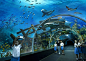 迪拜水下酒店，名为Hydropolis，由迪拜世界（Dubai World）旗下的造船公司迪拜干船坞世界建造的一座水下酒店，其水下部分将位于水下10米处，与水上的一个圆盘形状的建筑连通，而整个建筑的形状则酷似外星飞船，旅客住在水下的酒店可与鱼群共眠