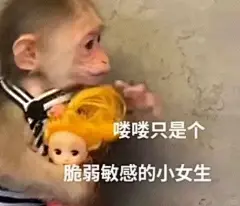 吗喽表情包 ｜要不要听听你在说什么 - 小红书