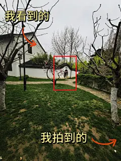 我看到的VS我拍到的｜南京春日壁纸限时上新 - 小红书