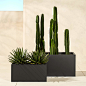 Blox Rectangular Galvanized Charcoal Planters- image 1 of 4 (Open Larger View)