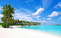 Maldives Olhuveli Beach islands palm trees wallpaper (#3006914) / Wallbase.cc