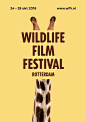 鹿特丹野生動物電影節 (WFFR)海報設計