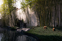 彗心呀采集到竹子景观