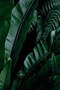 Green.