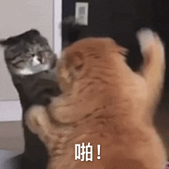 念旧ㅤ采集到表情包